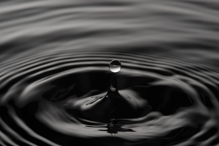 Monochrome Drip 2 Photograph by Jason Carncross - Fine Art America