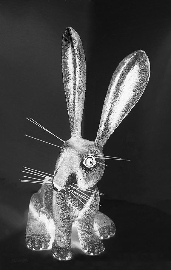 Monochrome Light New Mexico Rabbit Photograph by Rob Hans