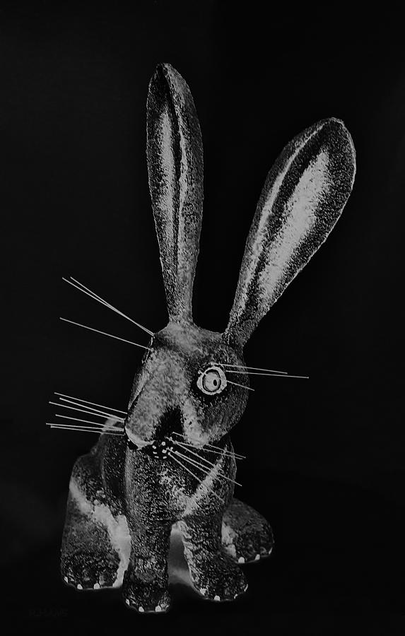 Monochrome New Mexico Rabbit Photograph by Rob Hans