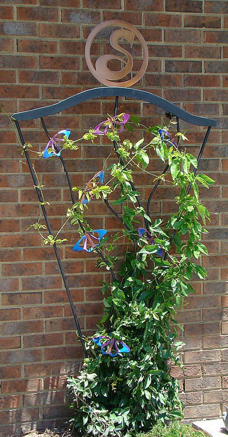 Butterfly Relief - Monogram Butterfly Trellis by Rusty Crab Creations