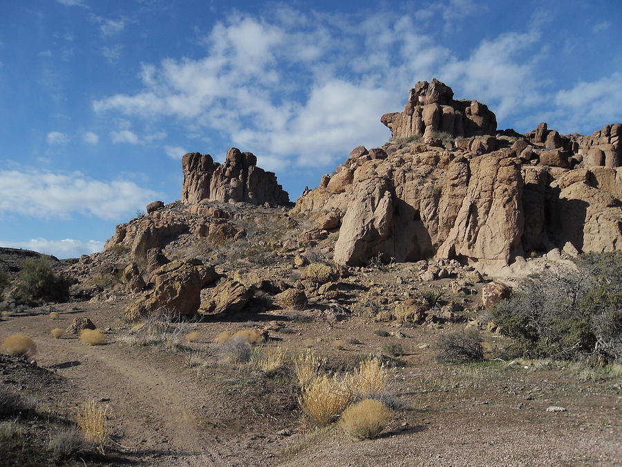 Monolith Gardens Arizona Photograph by James Welch - Fine Art America