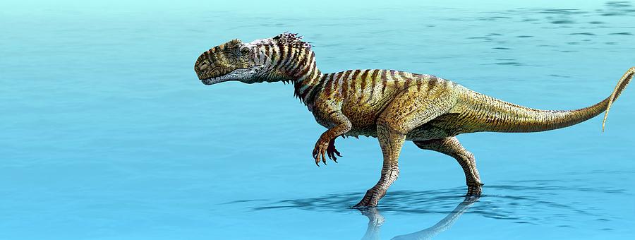 Prehistoric Photograph - Monolophosaurus by Jaime Chirinos/science Photo Library