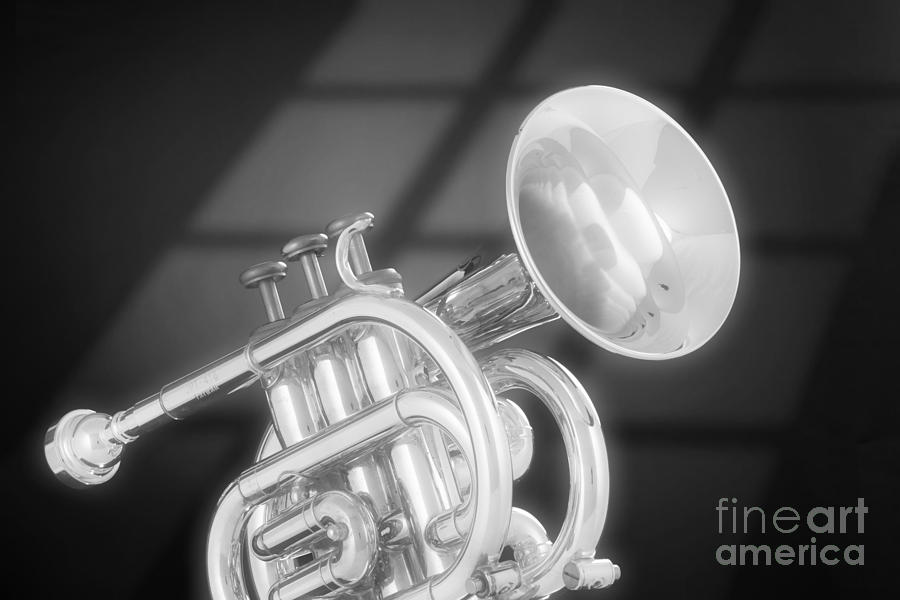 Monotone Trumpet Photograph by M K Miller