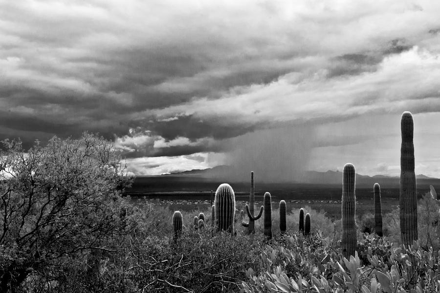 Monsoon Photograph by Carol Erikson