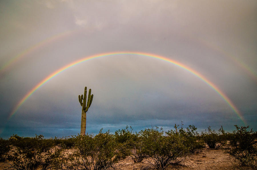 Landscape Photograph - Monsoon Double Rainbow by Erica Hanks