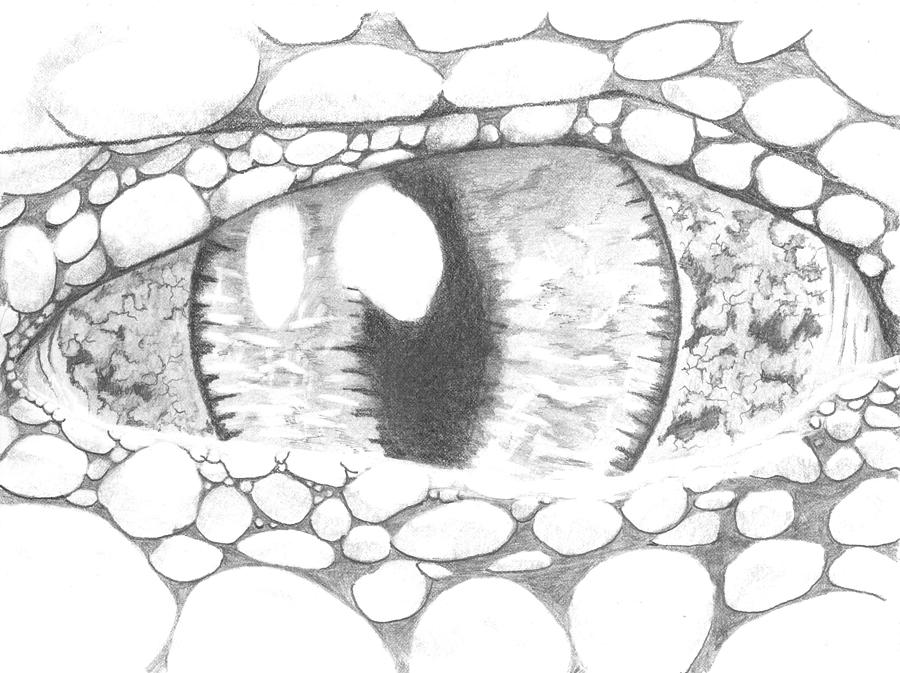 Monster Eye Drawing by Craig Shipman