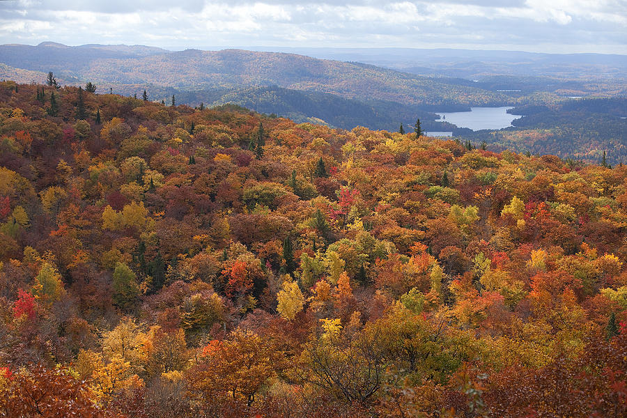 Fall Photograph - Mont Ste. Marie by Eunice Gibb
