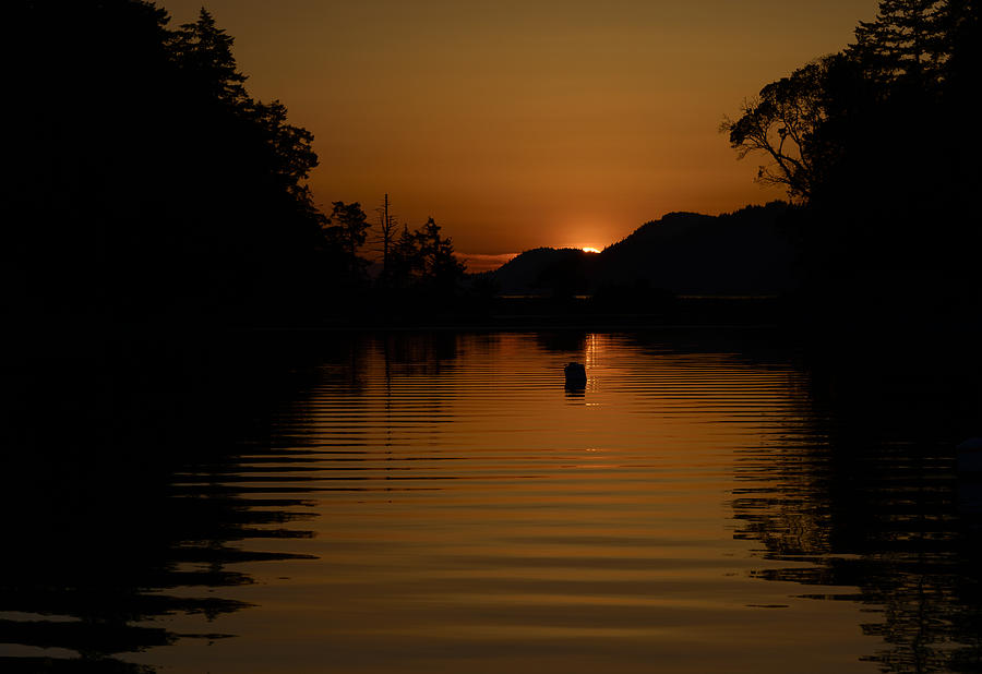 Montague Harbor Sunset Photograph by Bob VonDrachek