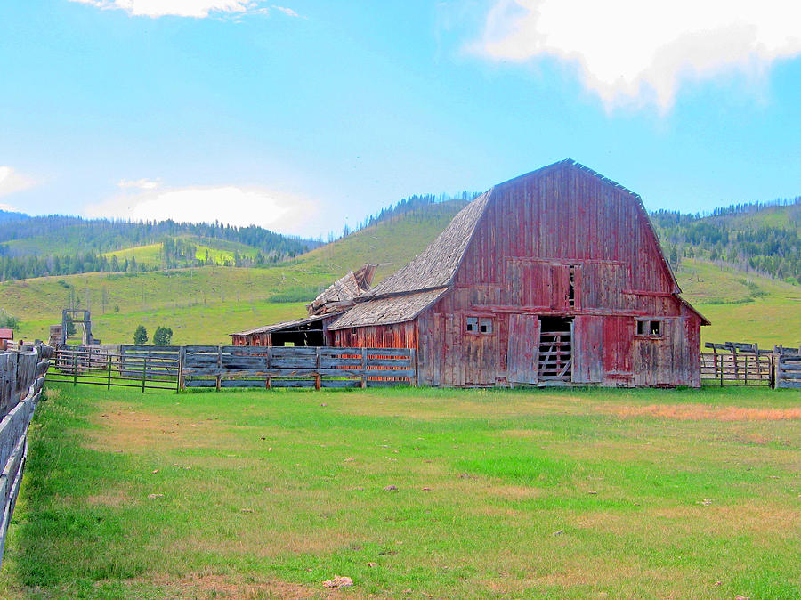 Montana Barn Photograph by Bill TALICH