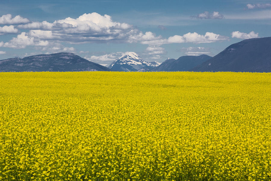 Montana Big Sky Photograph by Dan Neri - Fine Art America