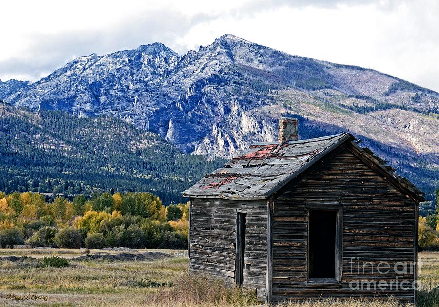 Mountain Photograph - Montana Cabin by Joseph J Stevens