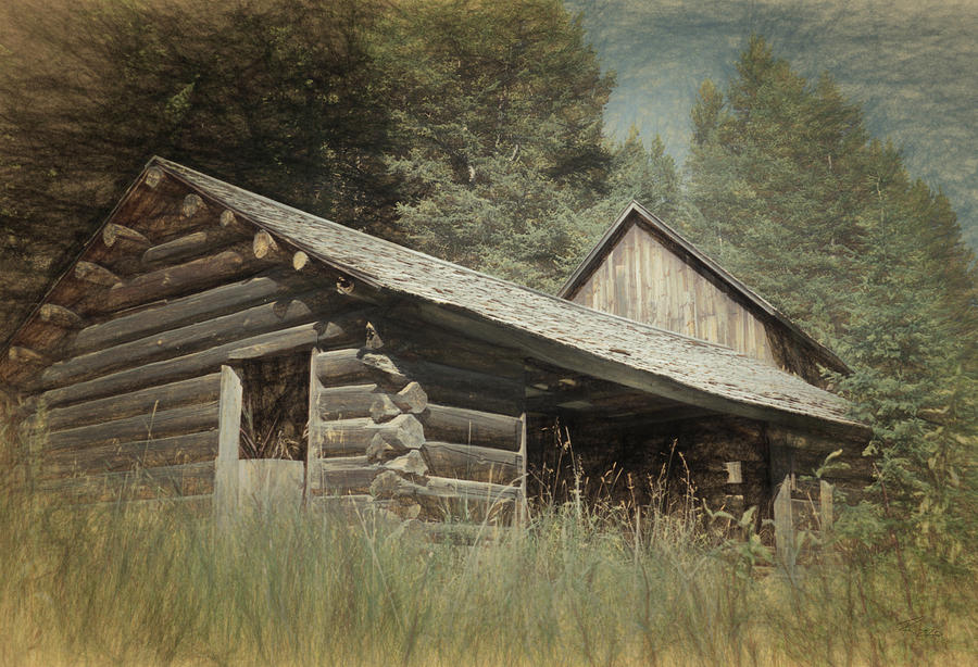 Montana Cabin Photograph by Richard Rizzo