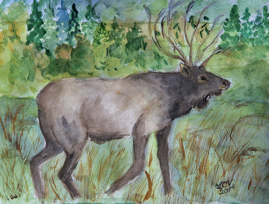 Montana Elk Painting by Lucille  Valentino
