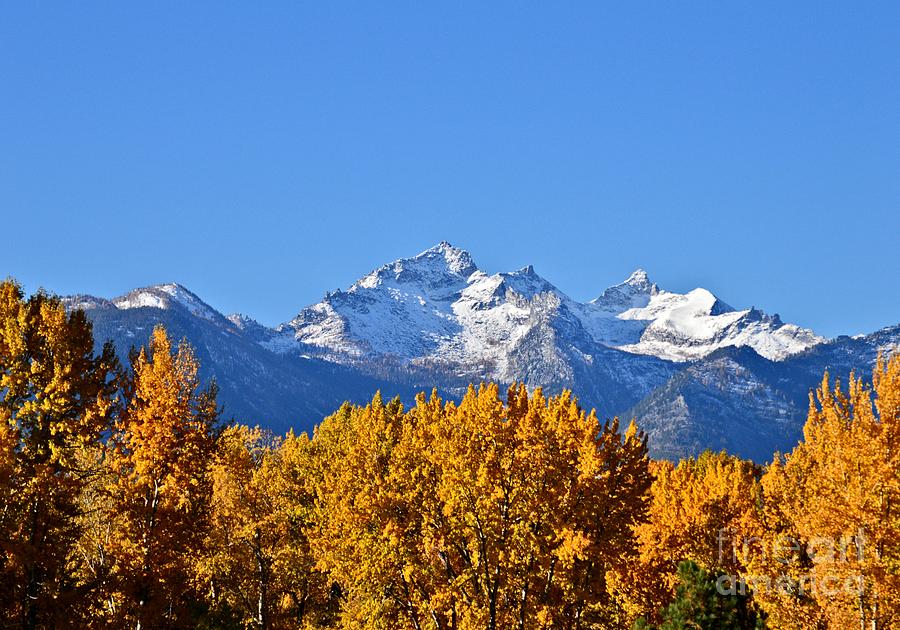 Montana Fall Photograph by Joseph J Stevens