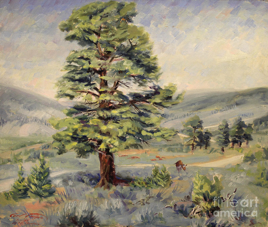Montana Grazer 1935 Painting by Art By Tolpo Collection