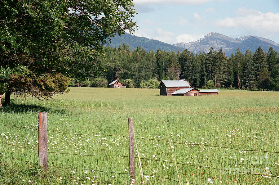 Montana Homestead Photograph by Vinnie Oakes Fine Art America