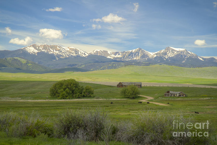 Montana Life Photograph by Idaho Scenic Images Linda Lantzy