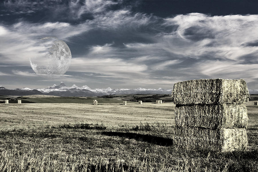 Montana Moonrise Digital Art by Bruce Rolff