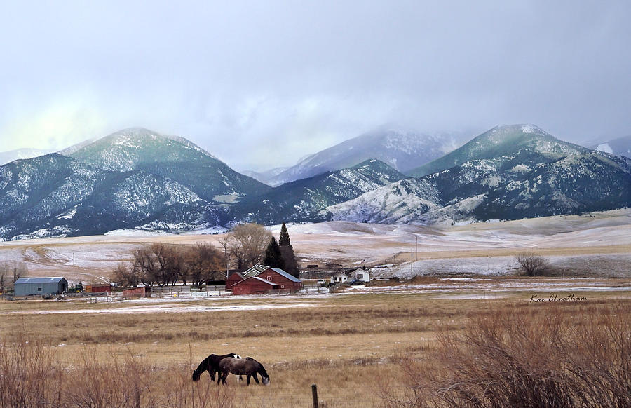 Montana Ranch - 1 Photograph by Kae Cheatham