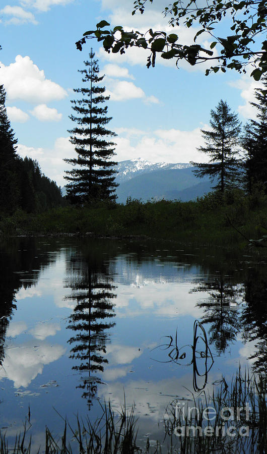 Mountain Photograph - Montana Reflections by Tonya P Smith