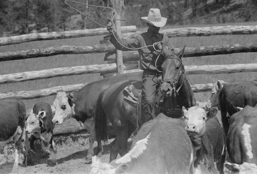 Montana Roundup, 1939 by Granger