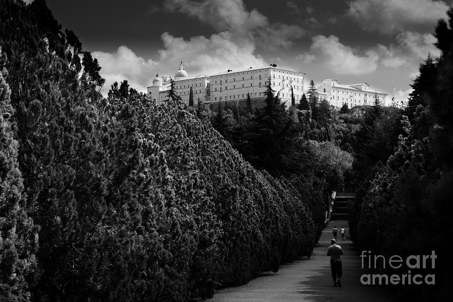 Monte cassino abbey fron the polish Cemetery Photograph by Peter Noyce