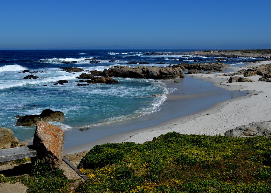 Monterey-1 Photograph by Dean Ferreira