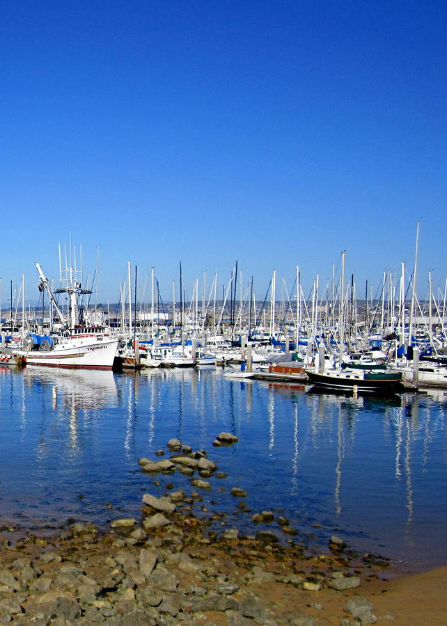 Monterey-7 Photograph by Dean Ferreira