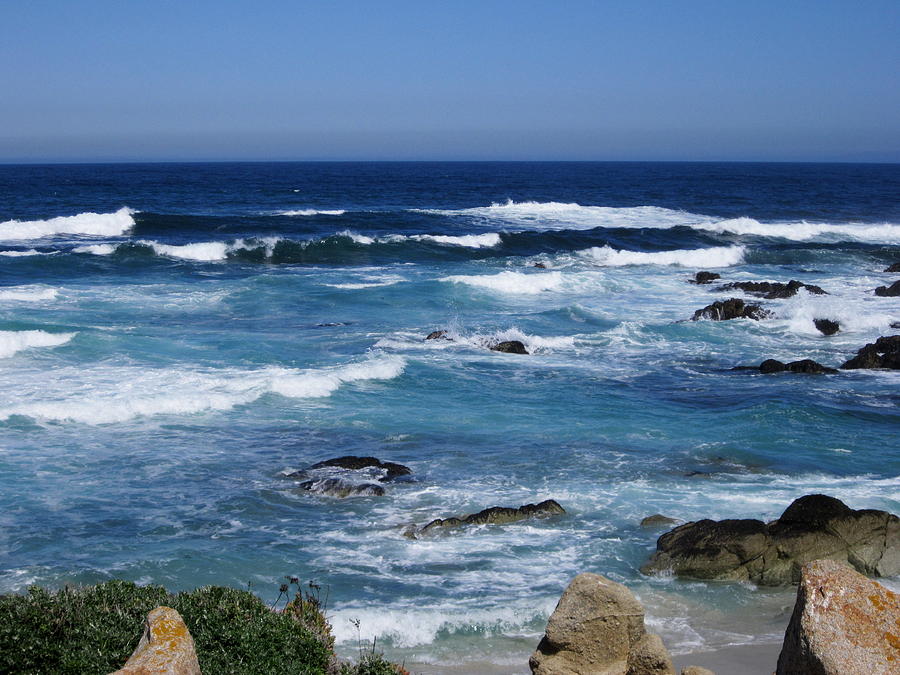 Monterey-9 Photograph by Dean Ferreira
