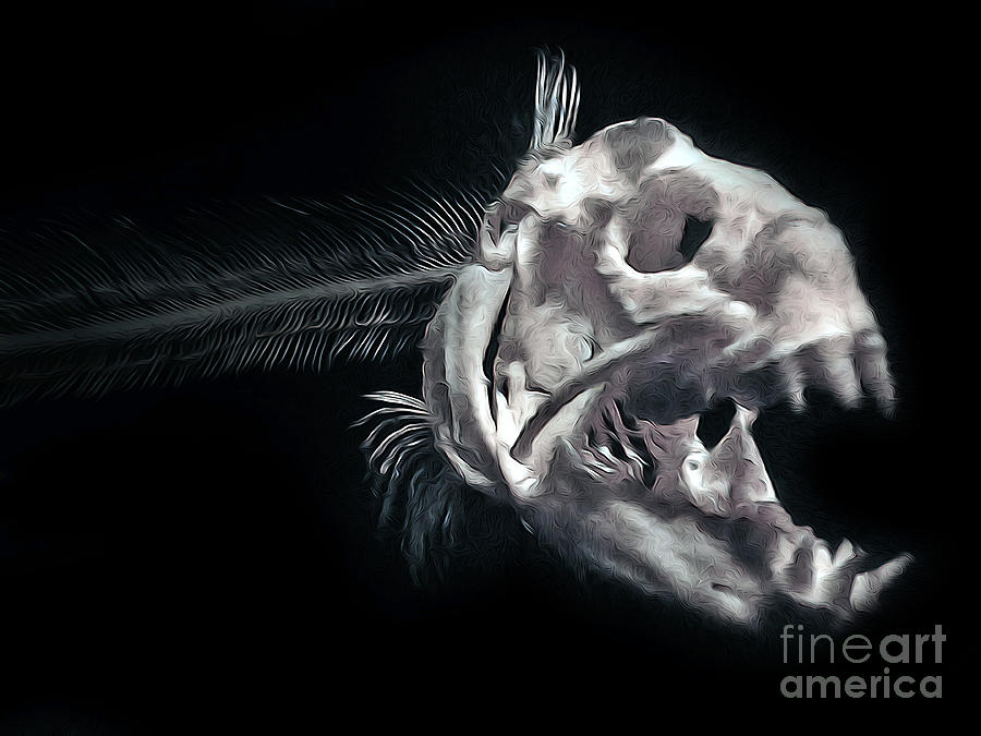 Monterey Bay Aquarium Painting - Monterey Bay Aquarium - Fish Bones - 03 by Gregory Dyer