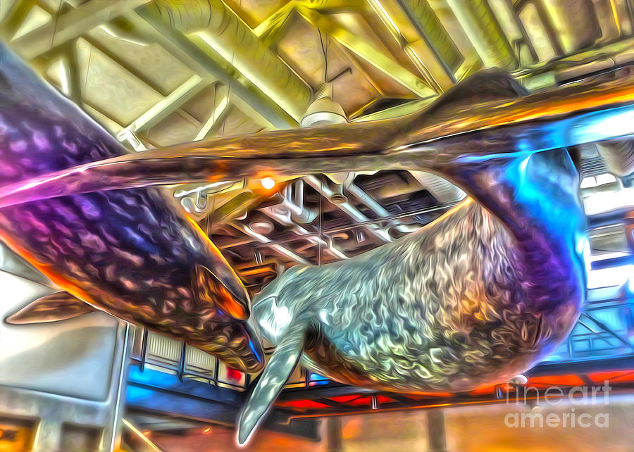 Whale Painting - Monterey Bay Aquarium - Whales by Gregory Dyer