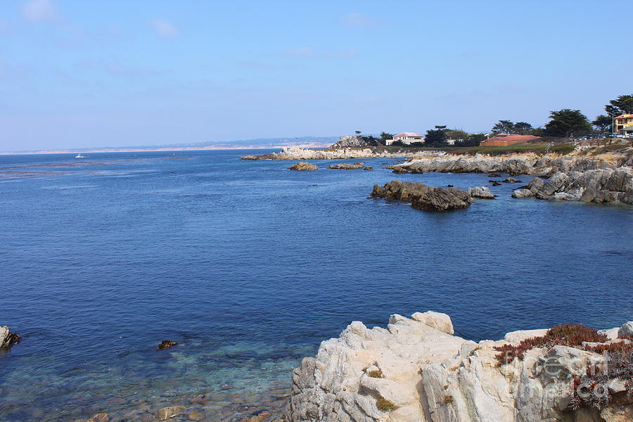 Monterey Bay Photograph by Bev Conover