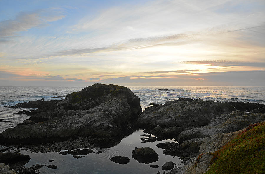 Monterey Bay Coast Photograph by Keith Gondron