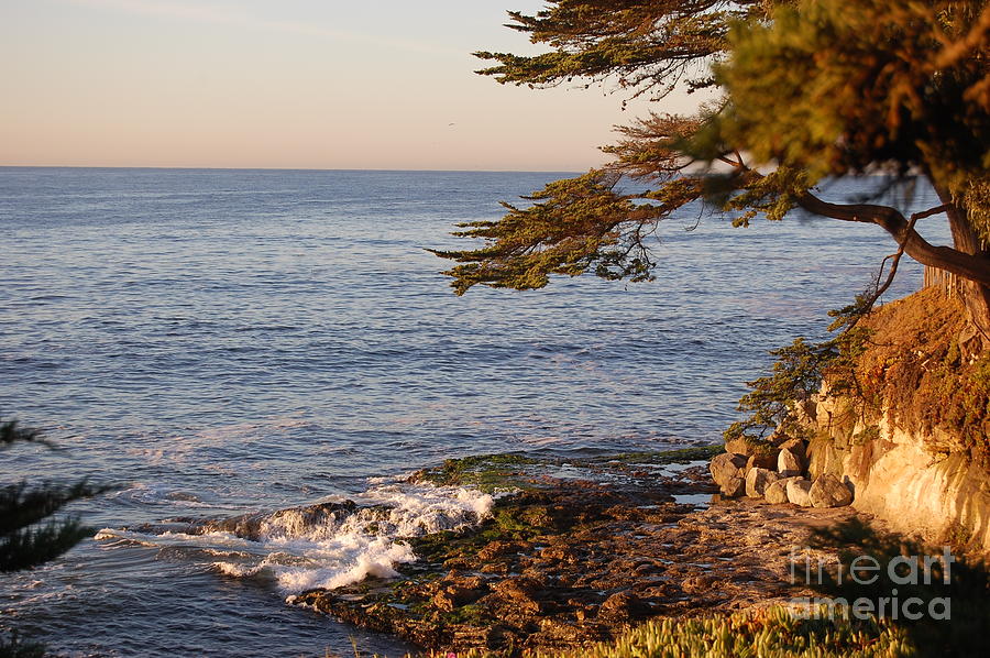 Monterey Bay Photograph by Garnett  Jaeger