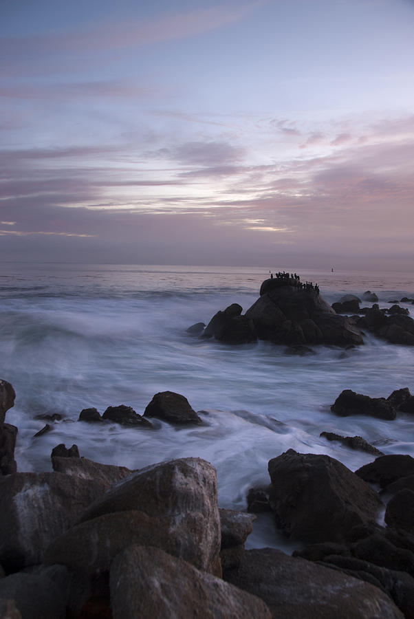 Monterey California at Dawn - Vertical Photograph by Kevin Bain - Fine ...