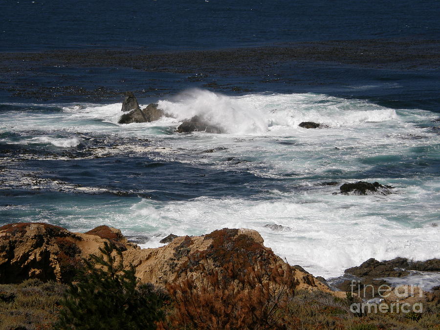 Monterey Coast Photograph by Bev Conover