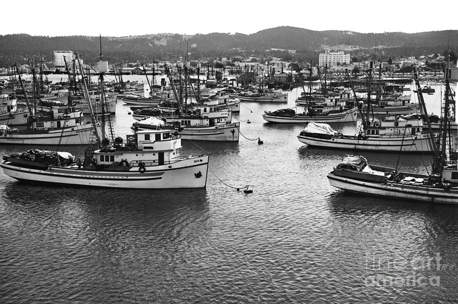 Fish Photograph - Monterey Harbor full of Purse-seiner fishing boats California 1945 by Monterey County Historical Society