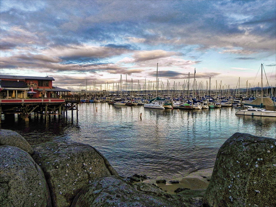 Monterey Marina California Photograph by Kathy Churchman