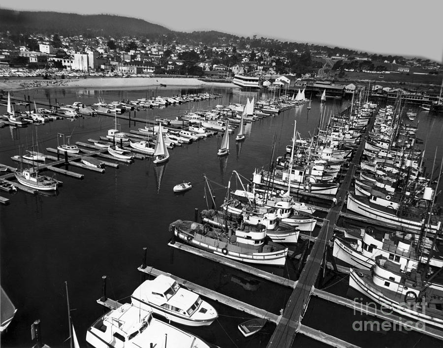 Swan Photograph - Monterey Marina with fishing boats in slips Sept. 4 1961  by Monterey County Historical Society