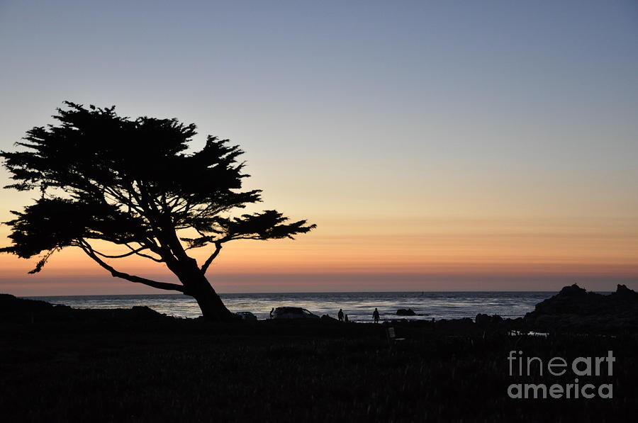 Monterey Sunset Photograph by Jean Hutchison