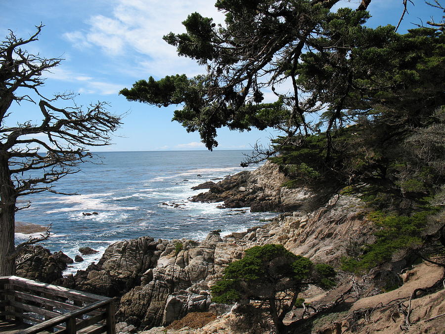 Monterey California View Photograph by Louise Adams
