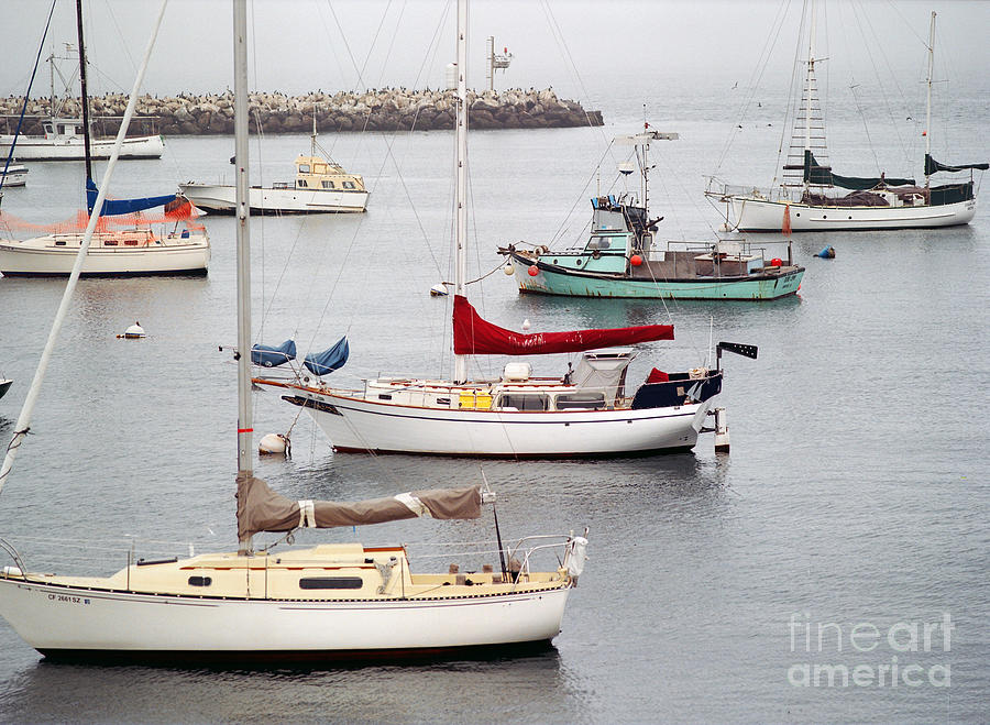 Monterey Harbor 2 Photograph By Dana Meinders - Fine Art America