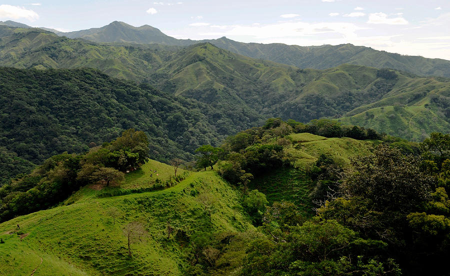 Monteverde Region Costa Rica Photograph by Theodore Clutter - Fine Art ...