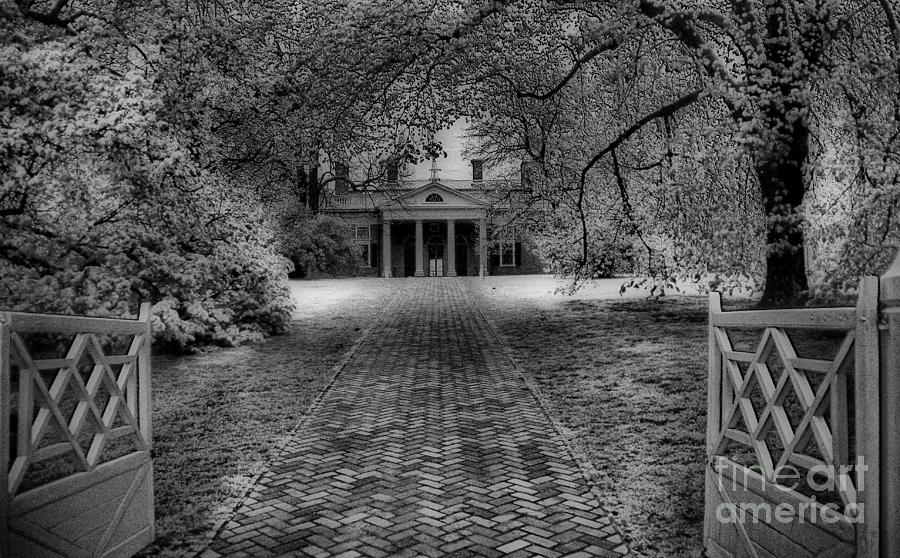 Tool Photograph - Mount Vernon by Skip Willits