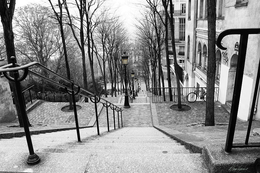 Montmartre Stairs Photograph by Diana Haronis