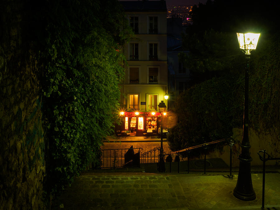 Montmartre Steps Photograph by Mark Llewellyn