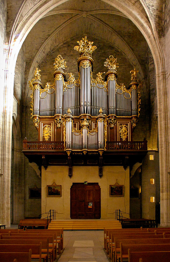 Montpellier organ from the nave Photograph by Jenny Setchell