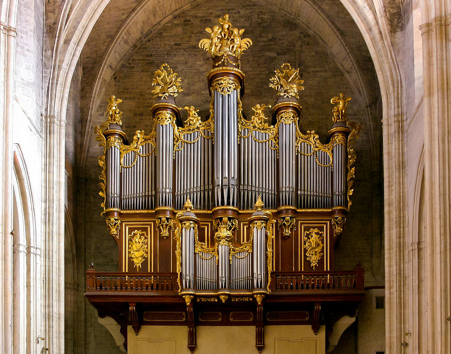 Montpellier organ Photograph by Jenny Setchell