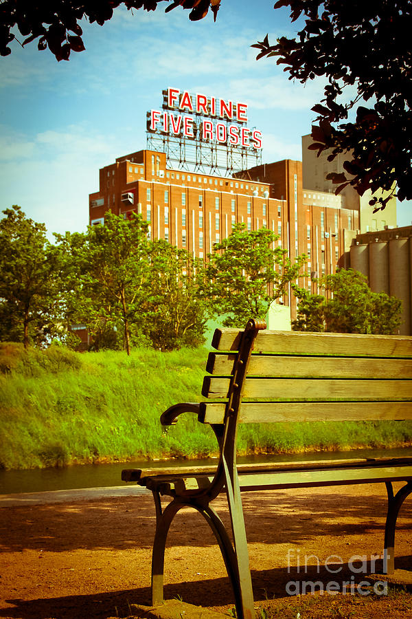 Rose Photograph - Montreal landmark by Isabel Poulin