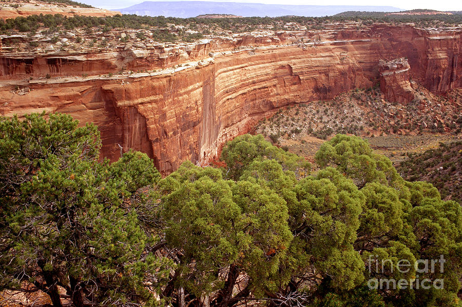 Monument Canyon Photograph by George Ranalli